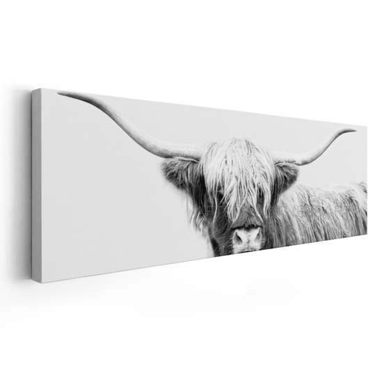 HIGHLAND COW CANVAS "UNDER WHITE SKIES" PANORAMIC