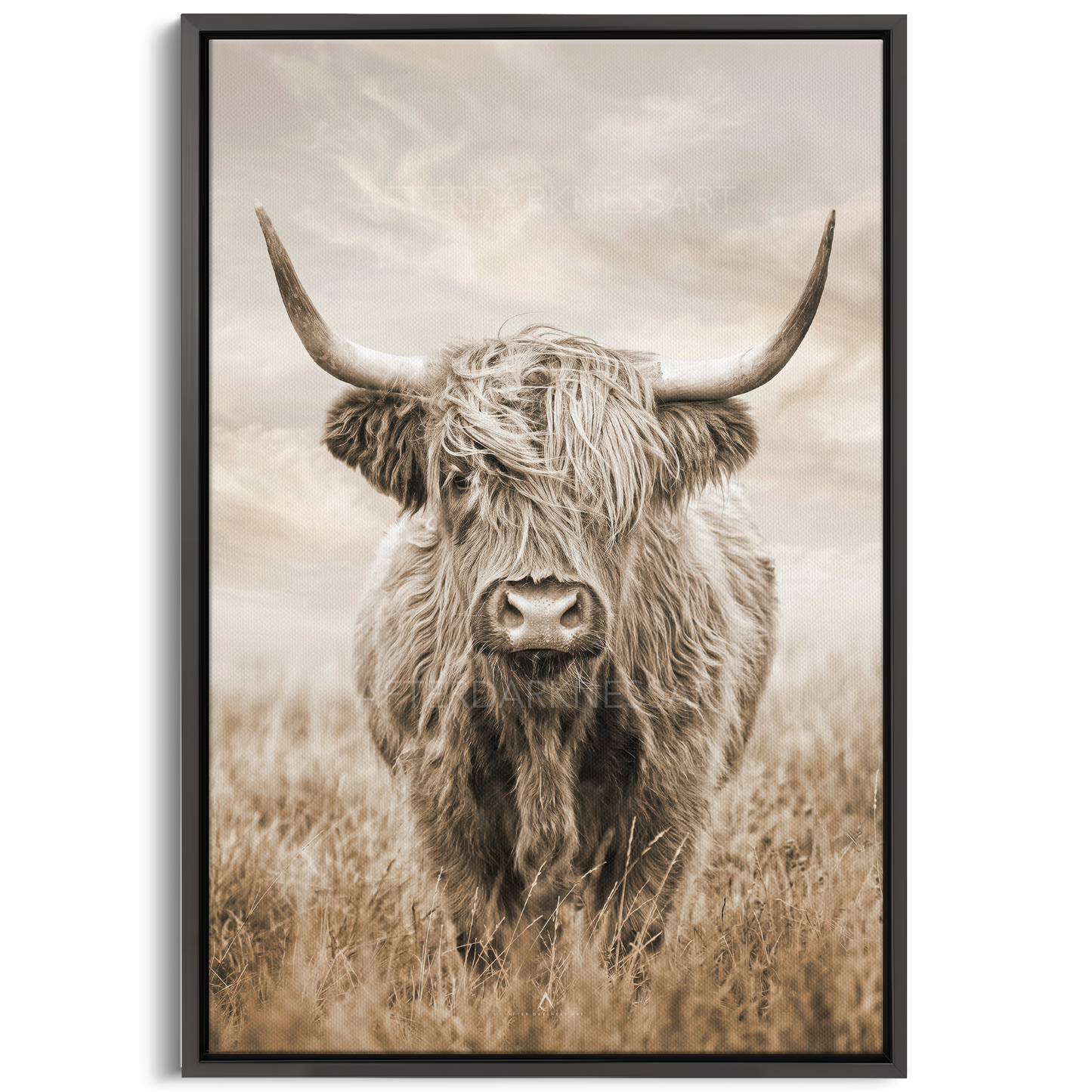 HIGHLAND COW CANVAS "GOLDEN PASTURES"