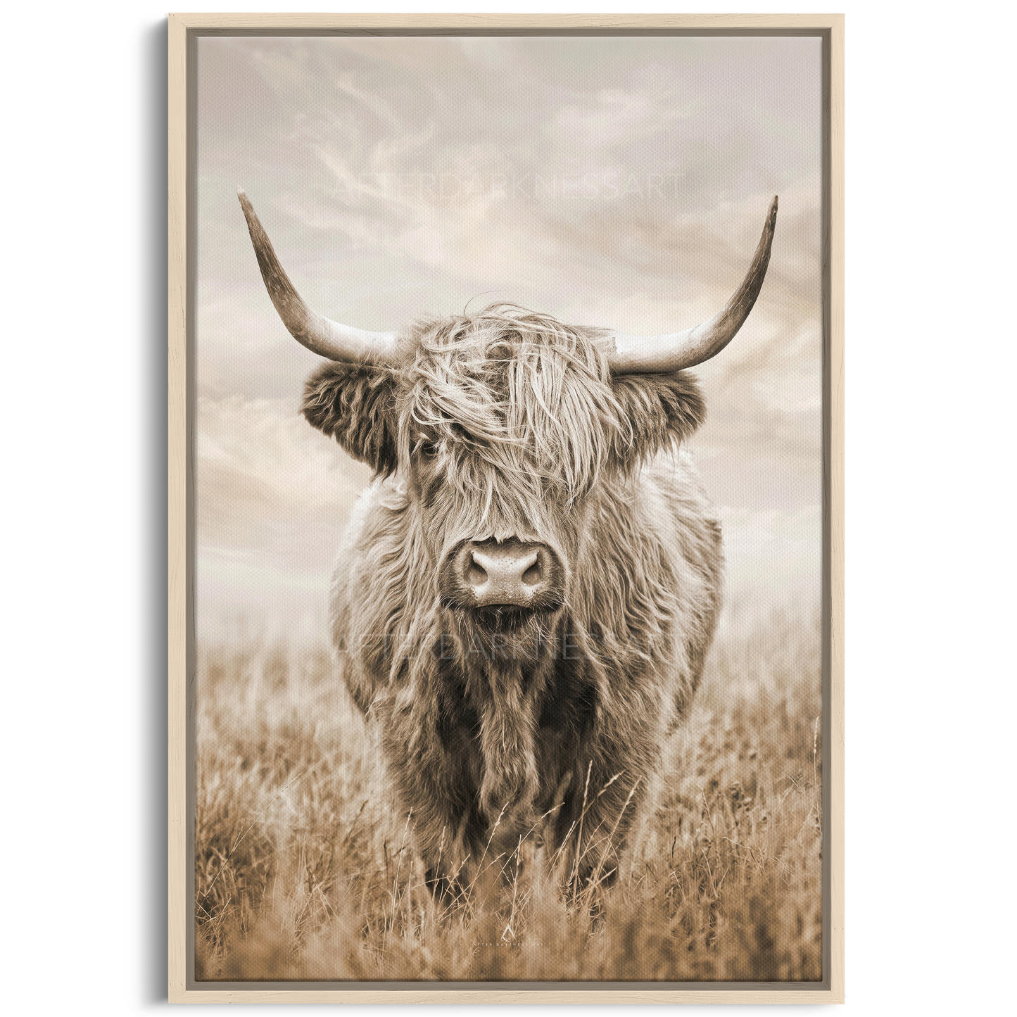 HIGHLAND COW CANVAS "GOLDEN PASTURES"