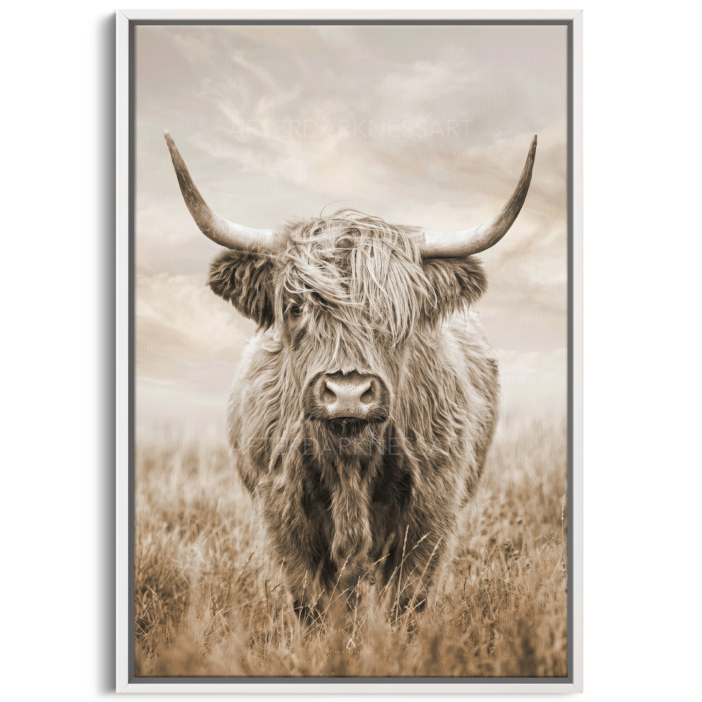 HIGHLAND COW CANVAS "GOLDEN PASTURES"