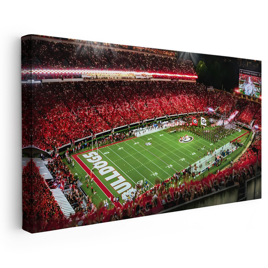 GEORGIA BULLDOGS CANVAS "SANFORD GLORY" SANFORD STADIUM