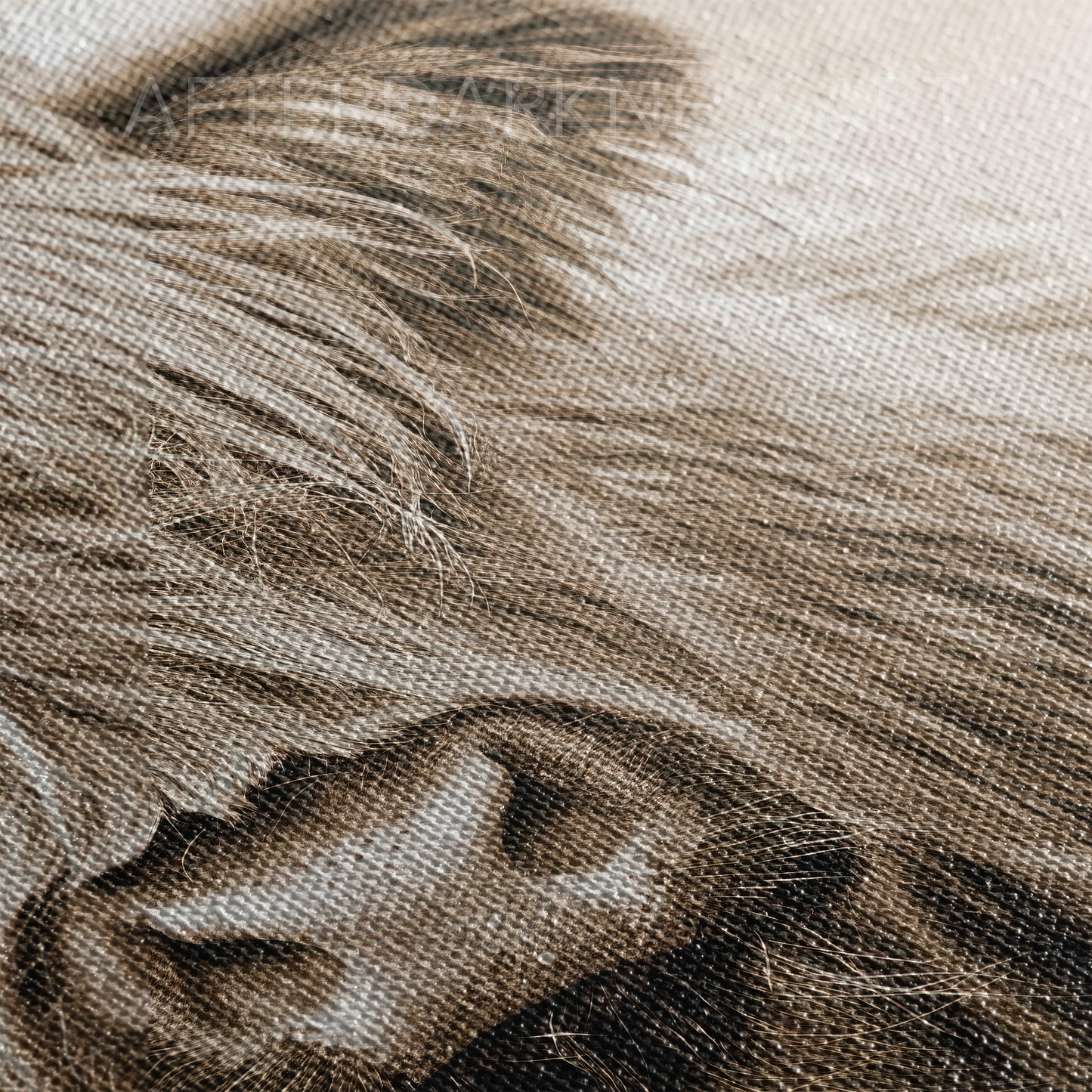HIGHLAND COW CANVAS "GOLDEN PASTURES"