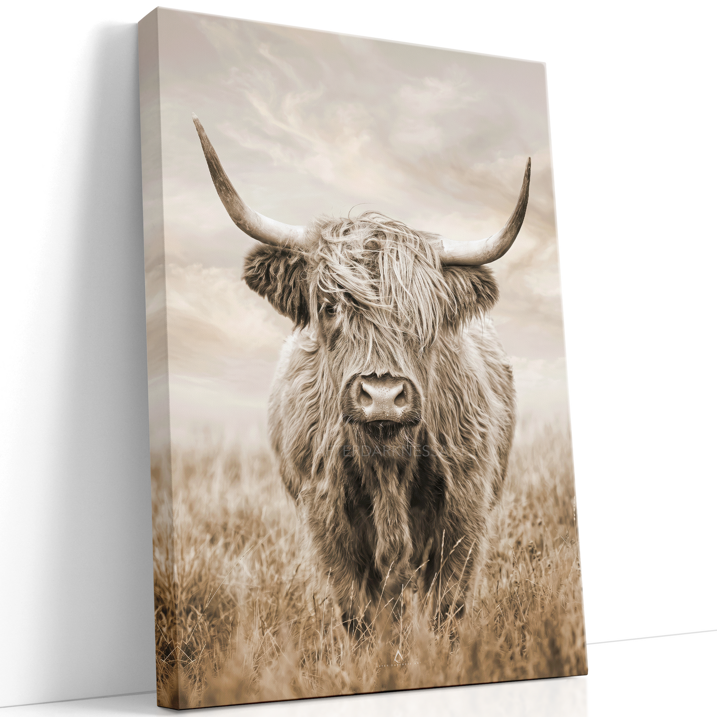 HIGHLAND COW CANVAS "GOLDEN PASTURES"