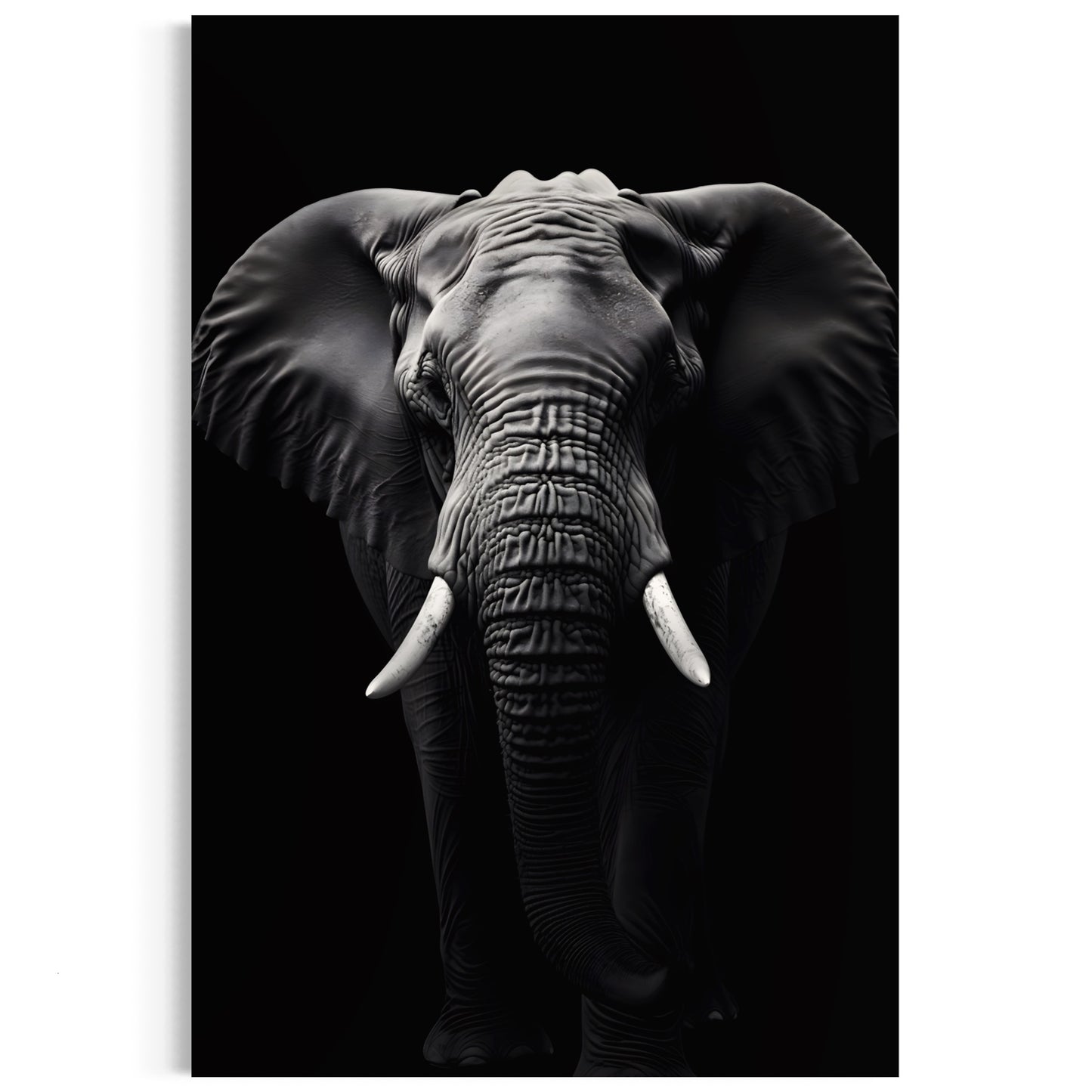 SHADOWED GIANT - ELEPHANT