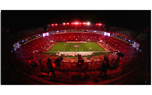 ALABAMA CRIMSON TIDE CANVAS "CRIMSON SHADOWS" BRYANT DENNY STADIUM