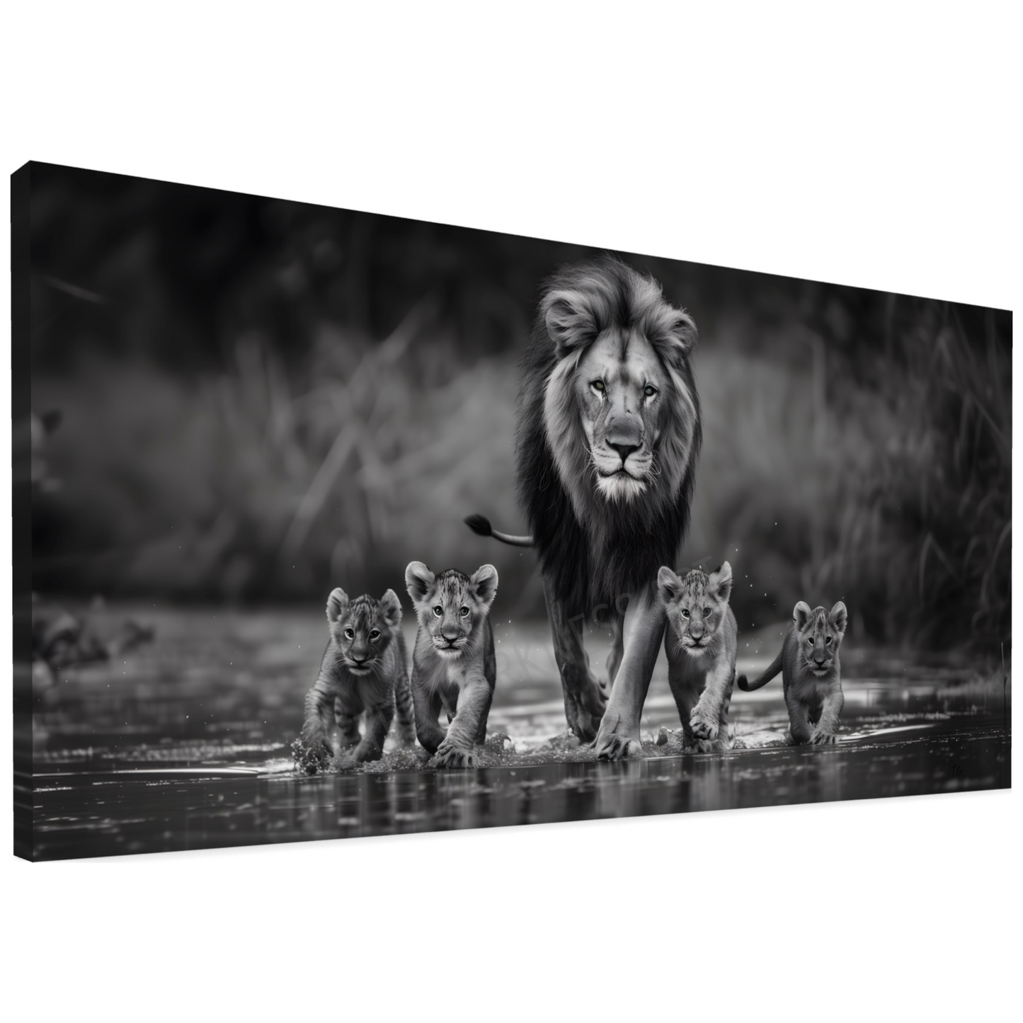 LION CANVAS "REFLECTIONS OF ROYALTY"