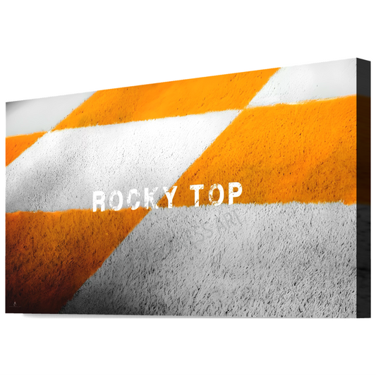TENNESSEE VOLUNTEERS CANVAS "END ZONE ANTHEM" NEYLAND STADIUM