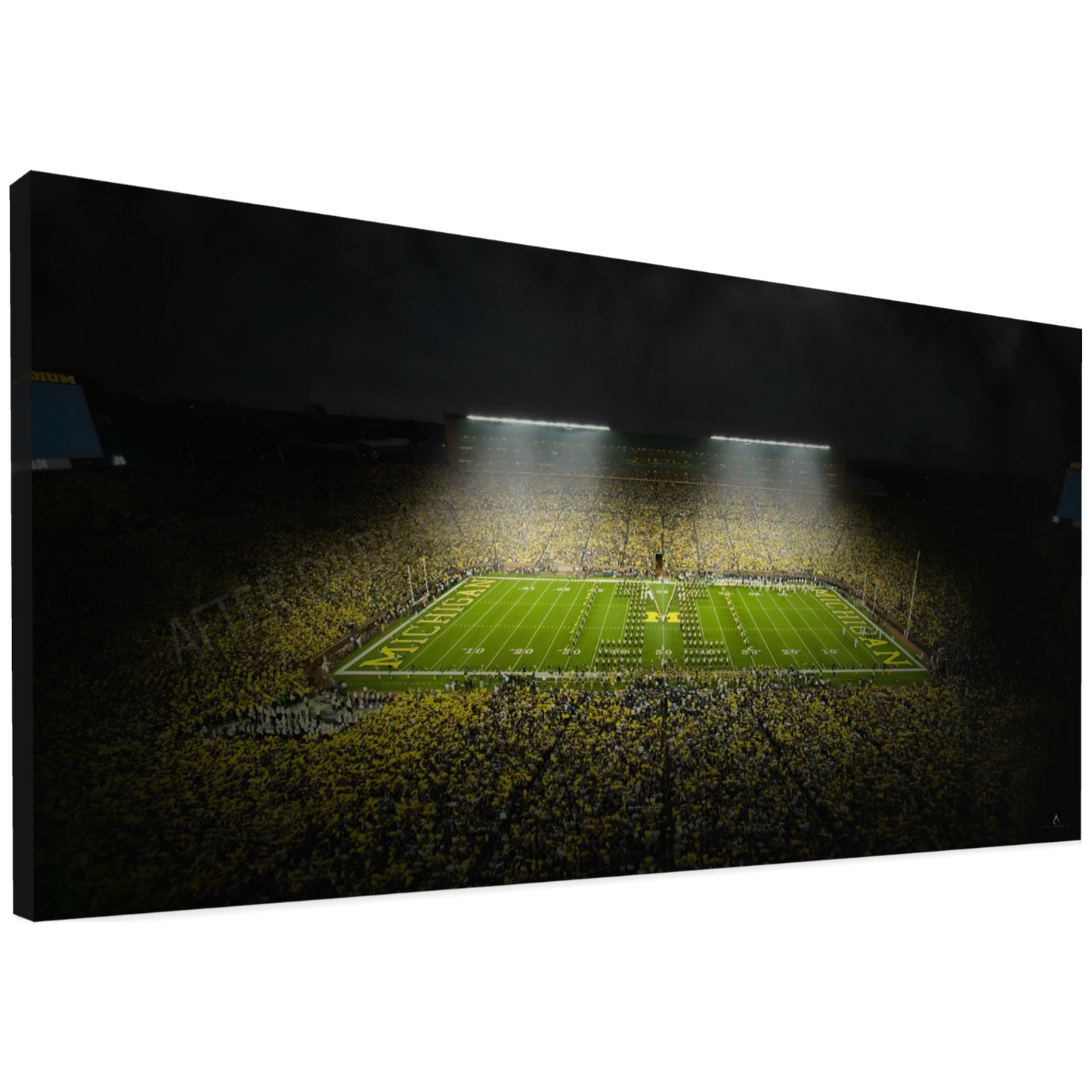 MICHIGAN WOLVERINES CANVAS "SILENT ROAR" MICHIGAN STADIUM