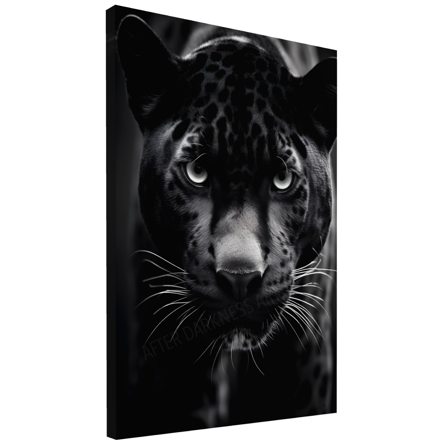 NOCTURNAL ELEGANCE - PANTHER