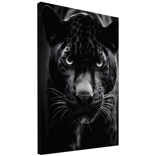 NOCTURNAL ELEGANCE - PANTHER