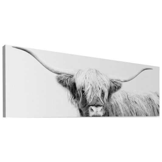 HIGHLAND COW CANVAS "UNDER WHITE SKIES" PANORAMIC