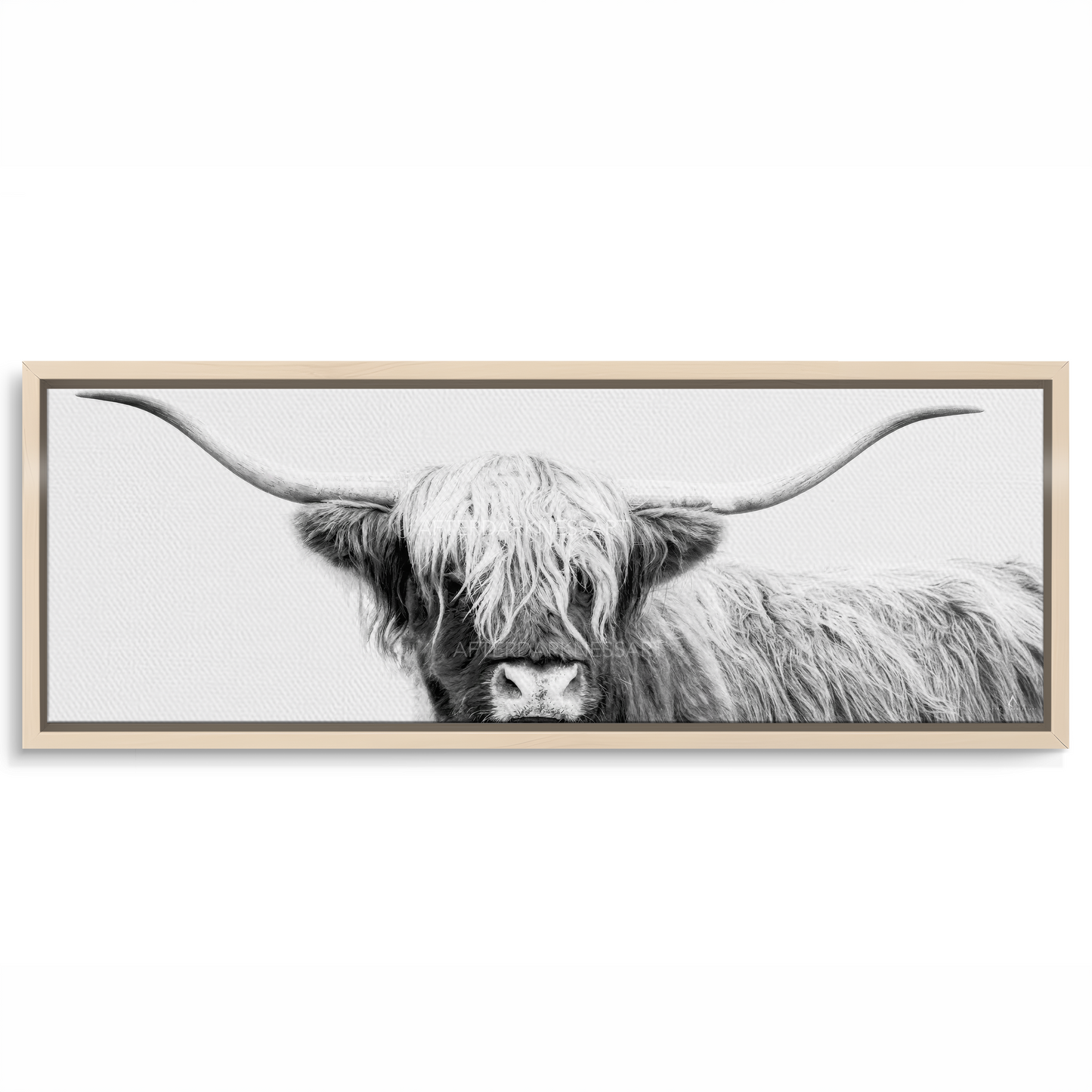 HIGHLAND COW CANVAS "UNDER WHITE SKIES" PANORAMIC